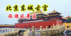 看女人的屄视频网站中国北京-东城古宫旅游风景区